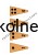 747273911_122148858441116774_4061603281308954633_n.jpg
