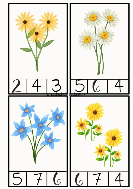 675017643_122135637105116774_3215941640330226096_n.jpg